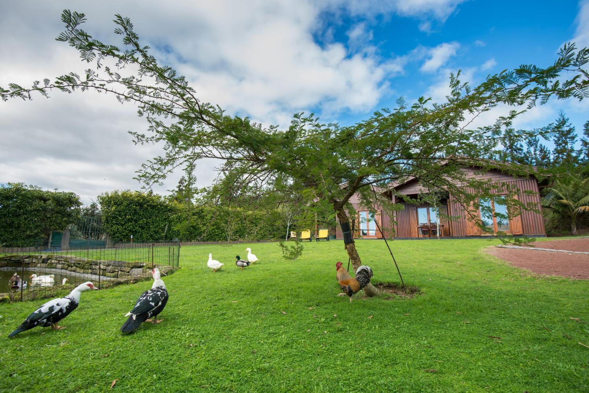 Quinta Dos Curubas Villa Vila Franca do Campo Exteriör bild