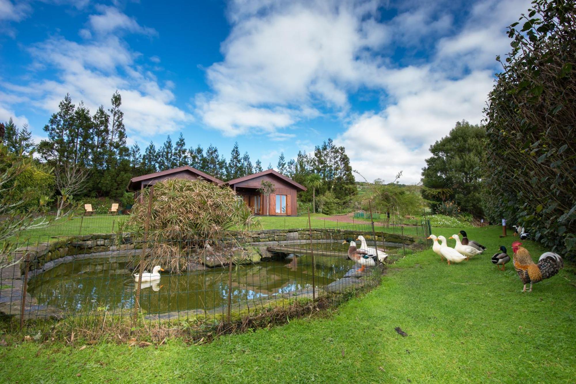 Quinta Dos Curubas Villa Vila Franca do Campo Exteriör bild